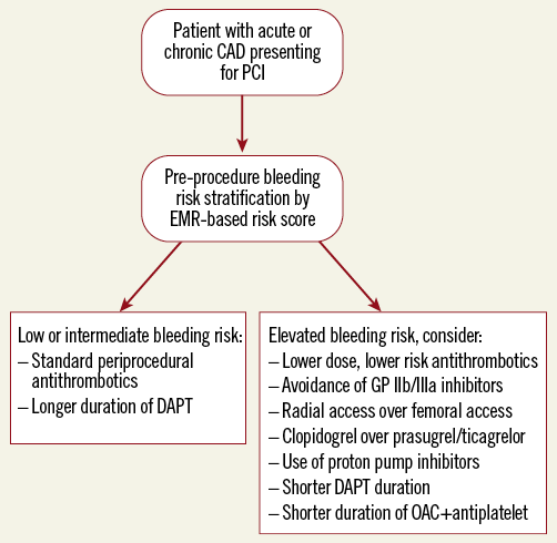 Moving towards personalised antiplatelet therapy after PCI using risk