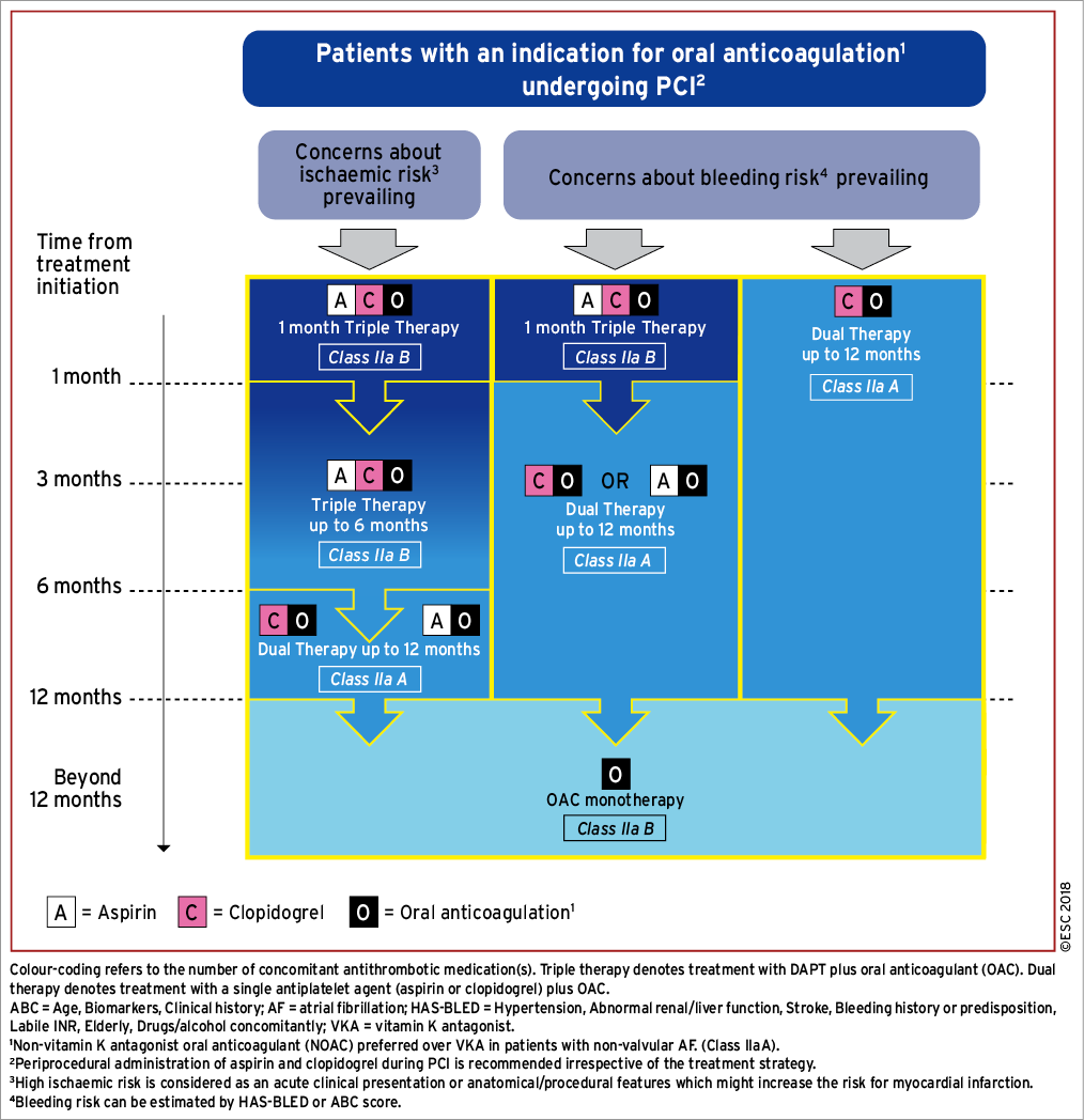 2018 ESC/EACTS Guidelines on myocardial revascularization ...