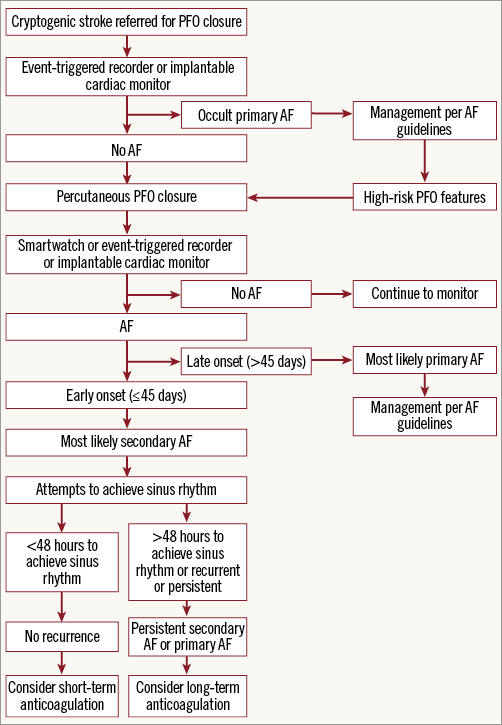 New-onset atrial fibrillation following percutaneous patent foramen ...