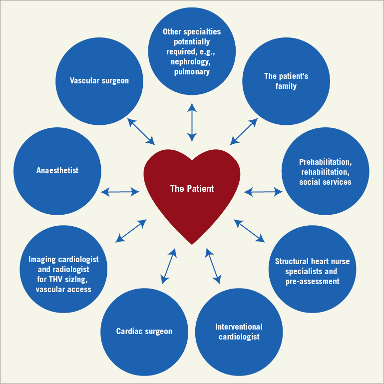 Heart Team Considering the optimal procedural Heart Team in TAVI: back to the ...