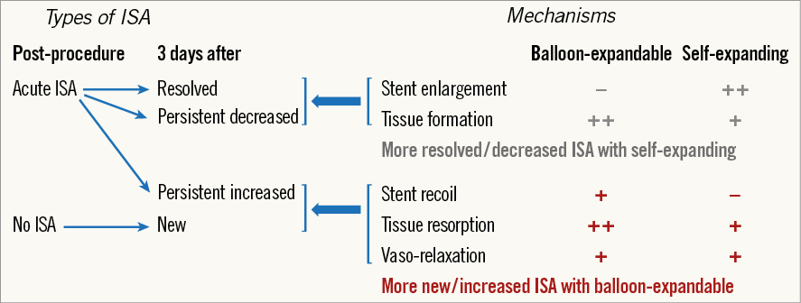 Balloonexpandable vs. selfexpanding stents new insights