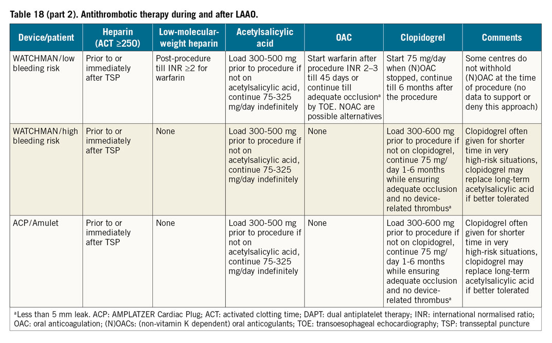 EHRA/EAPCI expert consensus statement on catheter-based left atrial ...