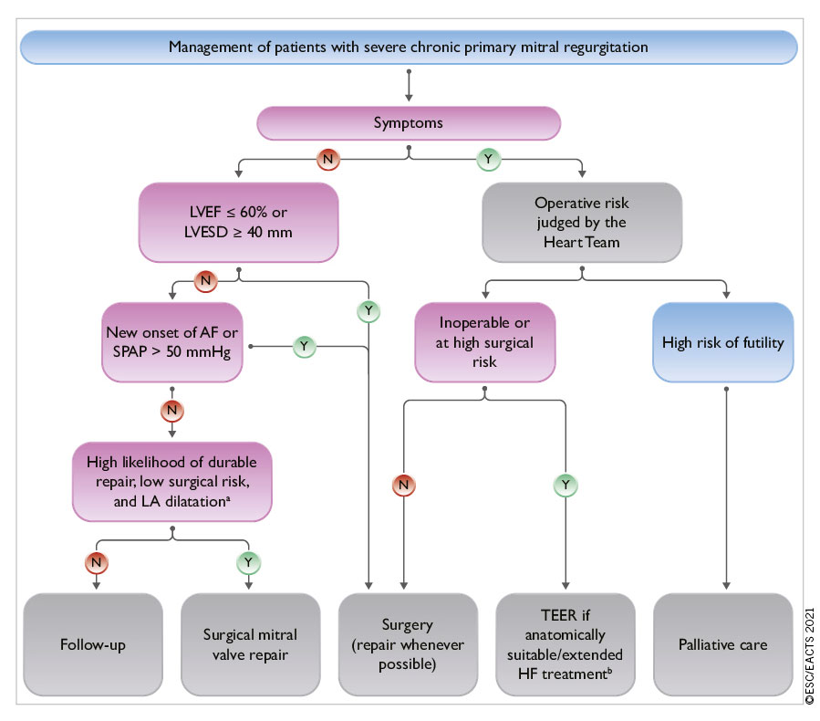 2021 ESC EACTS Guidelines For The Management Of Valvular Heart Disease 