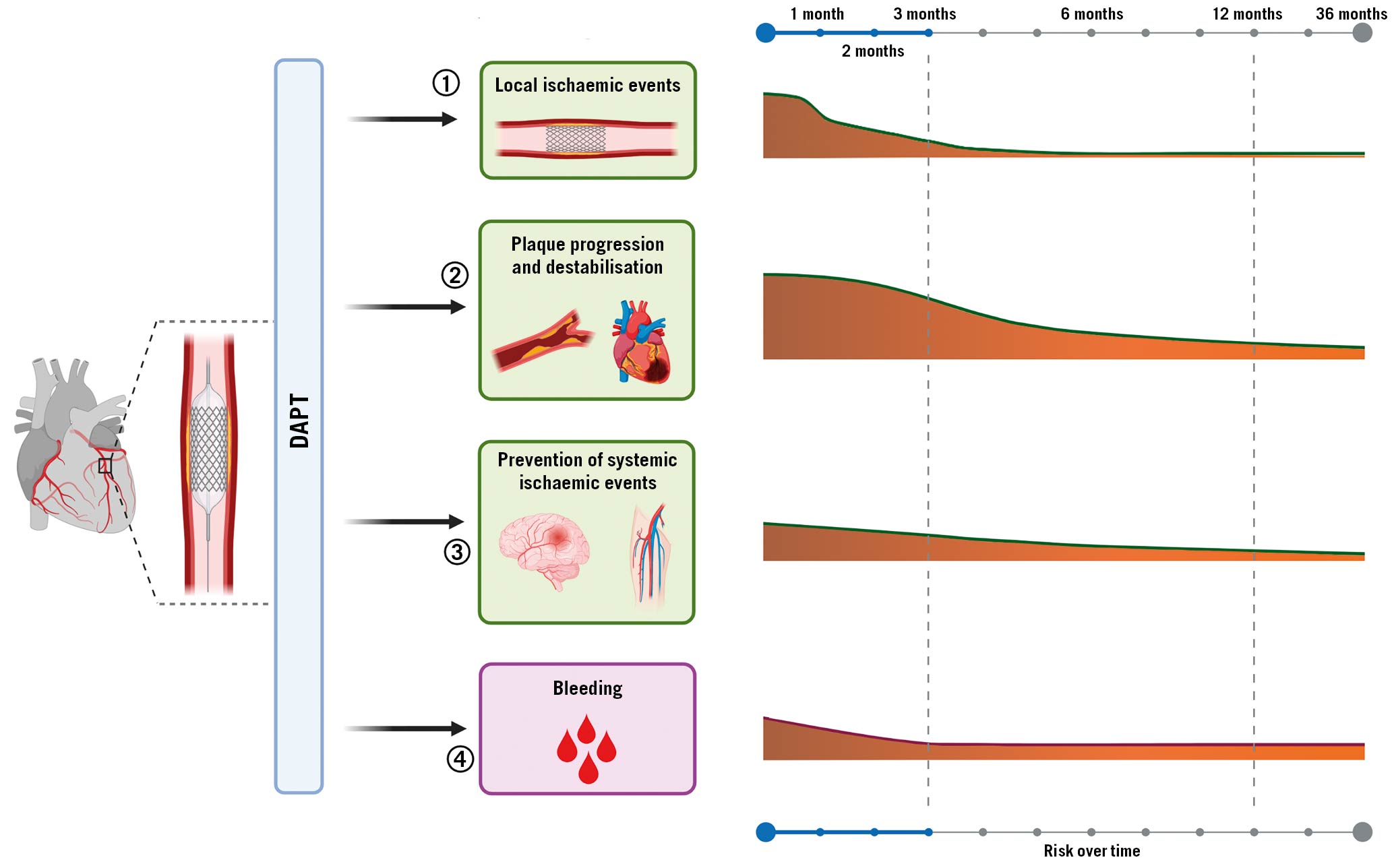 Individualising Antithrombotic Strategies for Established Coronary Artery  Disease