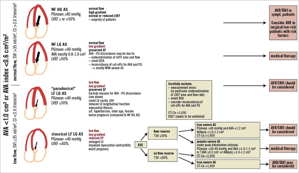 Low Flow Low Gradient Severe Aortic Stenosis Diagnosis Treatment And   01new Orwat Fmt 