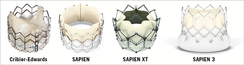 New-generation TAVI devices: description and specifications ...