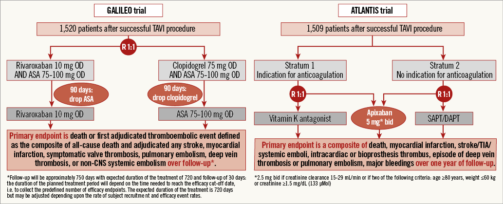 Antithrombotic Therapy In TAVI Patients: Changing Concepts ...