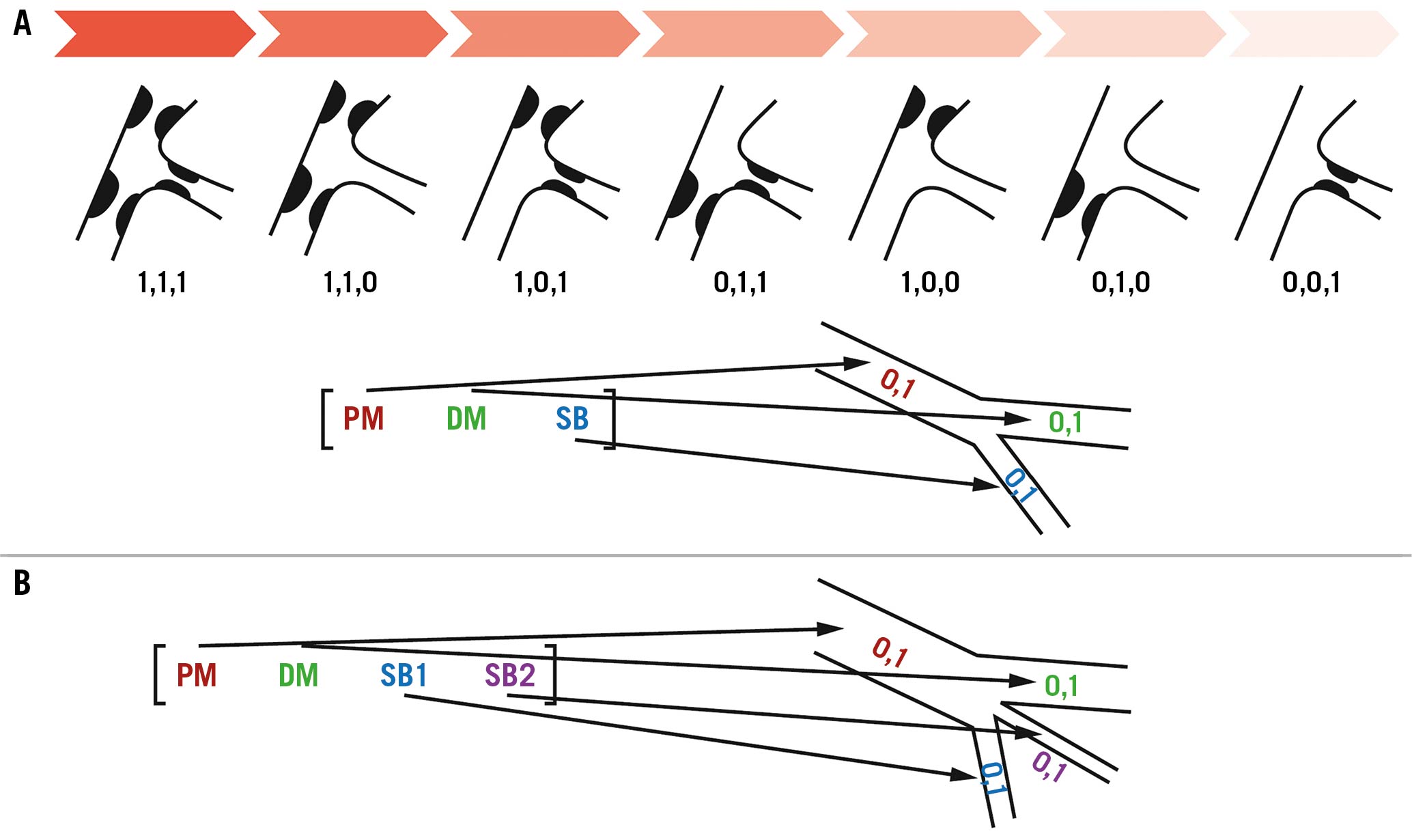 Definitions And Standardized Endpoints For Treatment Of Coronary ...